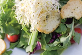 Supplementing Your Meal Plan