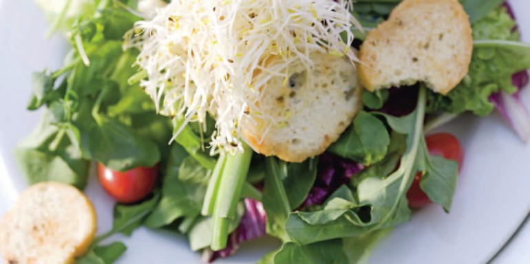 Supplementing Your Meal Plan