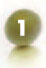 olive-1