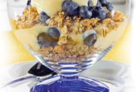 Healthy Guilt-Free Recipes: Blueberry Banana Yogurt?Parfaits