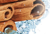 How Water Extracted Cinnamon Can Improve Your Blood Glucose Control