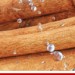 How Water Extracted Cinnamon Can Improve Your Blood Glucose Control