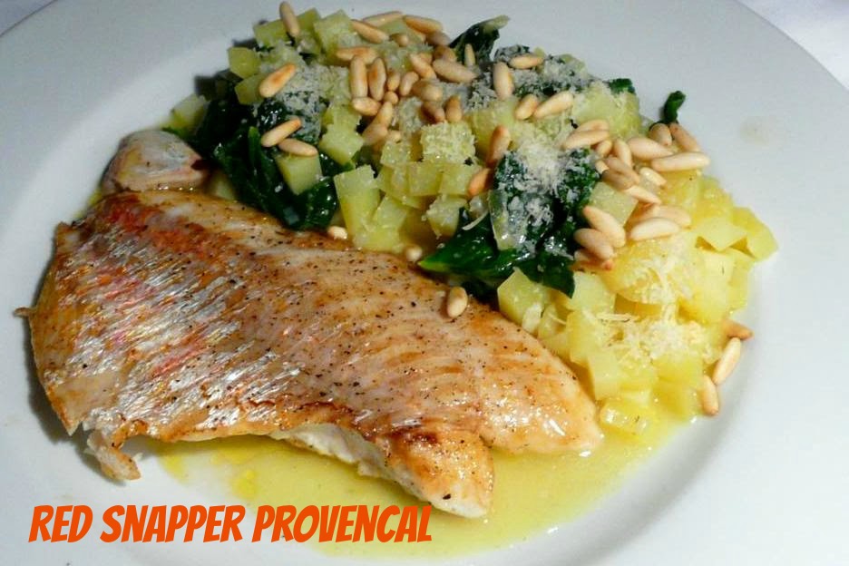 Red Snapper