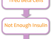Diabetes prevention