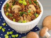 mushroom health benefits