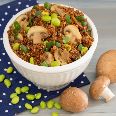 mushroom health benefits