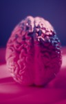 brain-health