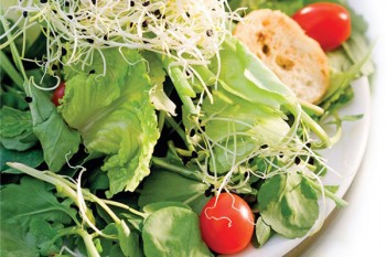 veggies and healthy eating