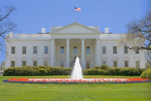 white-house