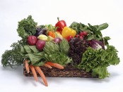 eating clean