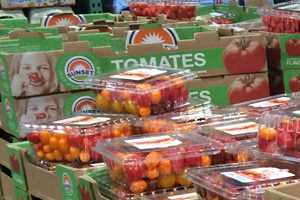 Sunset Tomatoes