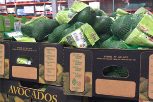 Del Rey Avocados
