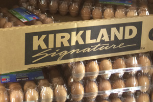 Kirkland Signature Organic Eggs